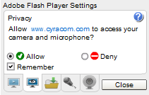 Adobe Flash Privacy Settings